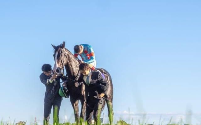 イクイノックスの総獲得賞金が17億1158万2100円に到達 ジャパンCで1着なら首位浮上