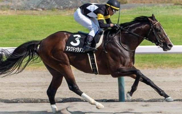 ドゥラメンテ×米最優秀3歳牝馬 みやこSで良血馬がタイトル奪取だ