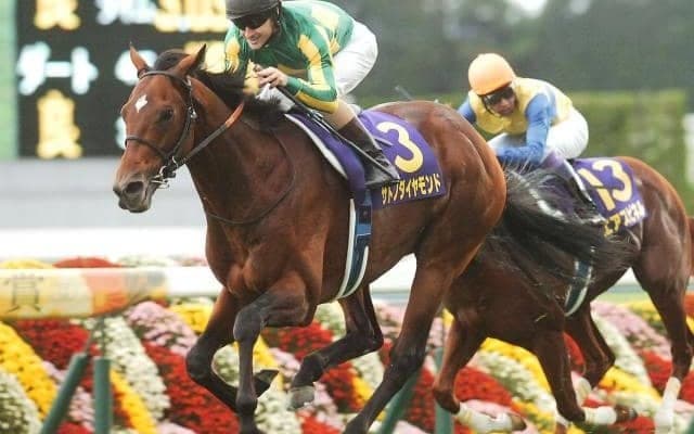新・京都競馬場で活躍中の血統を紹介 父仔ともに淀を得意としているのは？