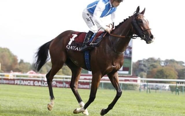 ダイワメジャー産駒が3100mの仏G1を7馬身半差V JRAの平地重賞勝利は1800mが最長