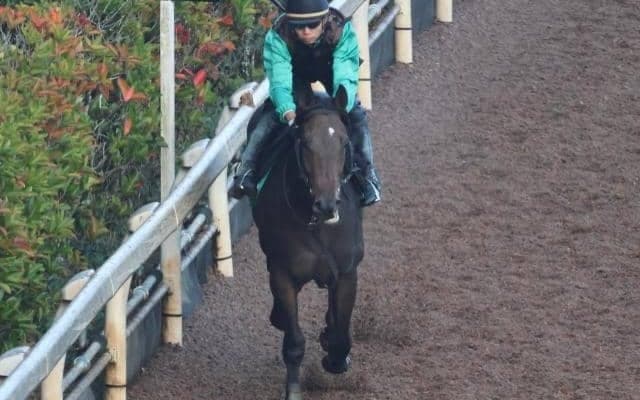 ルミエールヴェリテの2021(デュランヴェリテ)など、先週のゲート試験/栗東トレセンニュース