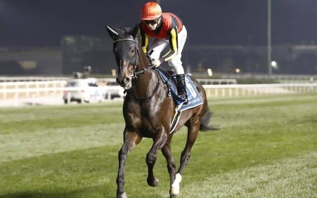 【BCターフ枠順】シャフリヤールは1番ゲート、オーギュストロダンは5番ゲートなど13頭