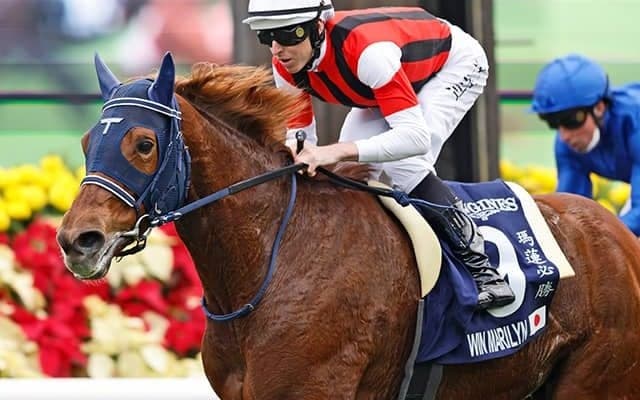 【BCF＆Mターフ枠順】日本のウインマリリンは5番ゲート、G1連勝中の3歳馬ウォームハートは2番ゲートなど12頭