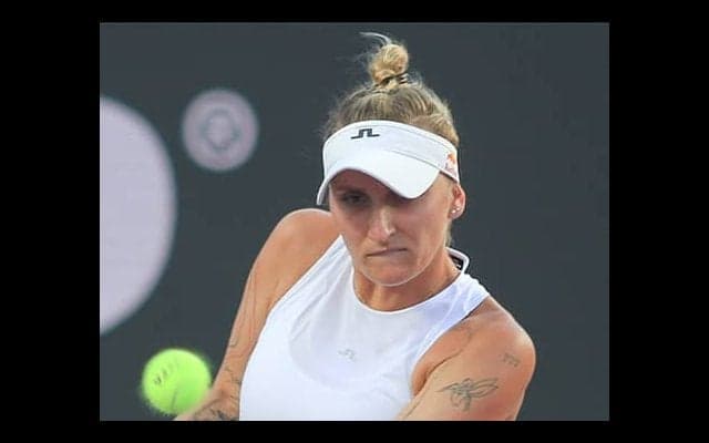 WTAへ不満続く「失望しかない」