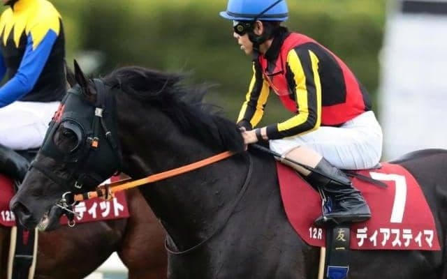 母は米G1・3勝 目黒記念2着馬がAR共和国杯で待望の重賞初V狙う