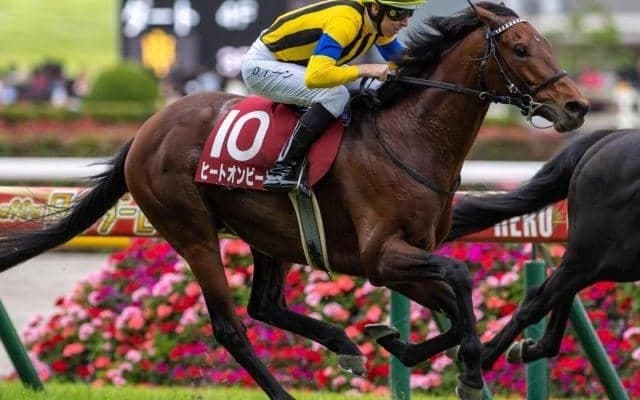 史上初の友道厩舎×木幡巧也騎手 目黒記念覇者がAR共和国杯で2つめのタイトル狙う