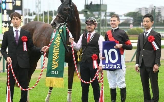 【マイルCS想定】セリフォス、ナミュールなど13頭