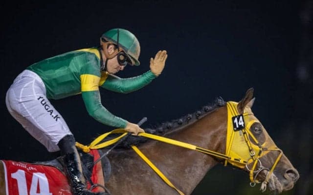 【ブリーダーズカップ】ウシュバテソーロは8番ゲートから…高木師「並びをみてジョッキーと相談」