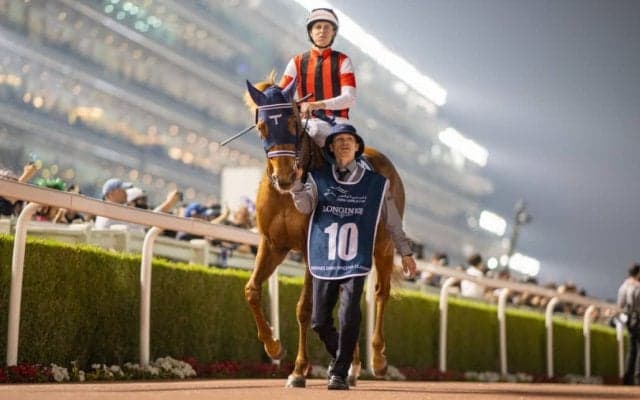 【ブリーダーズカップフィリー＆メアターフ】出馬表確定…ウインマリリンが参戦