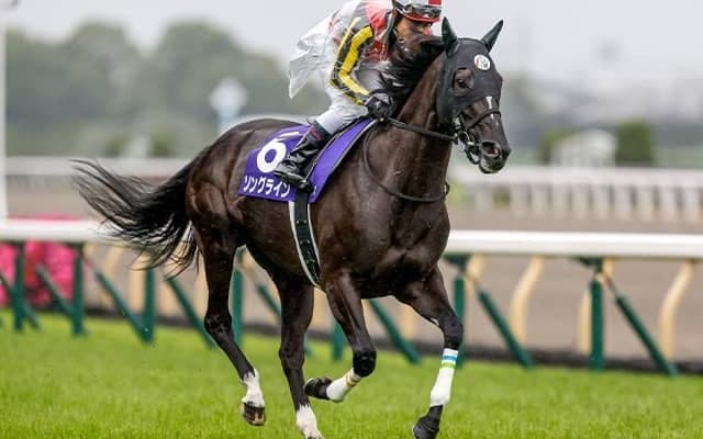 ソングラインの林徹調教師「馬の雰囲気も良い」米BCへ出走予定の各陣営がコメント