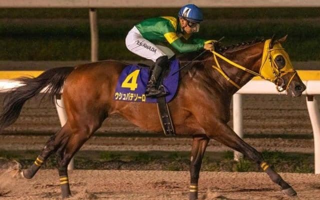 世界最高峰のBCクラシック ウシュバテソーロ＆デルマソトガケが歴史を変える勝利なるか