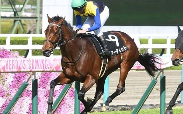 【AR共和国杯展望】好走傾向に合致するアーティットに期待したい