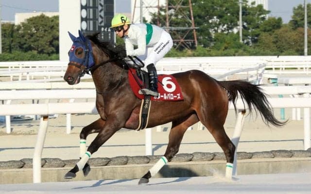 【園田・楠賞】ボヌールバローズが快勝…カラ馬に絡まれるアクシデントも