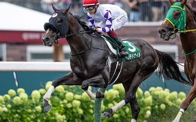 【みやこS展望】チャンピオンズCの前哨戦、逃げ先行馬が活躍する