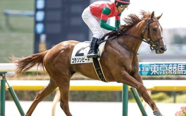【京王杯2歳S出走馬・騎手確定】コラソンビート＆横山武史騎手、ミルテンベルク＆J.モレイラ騎手など12頭