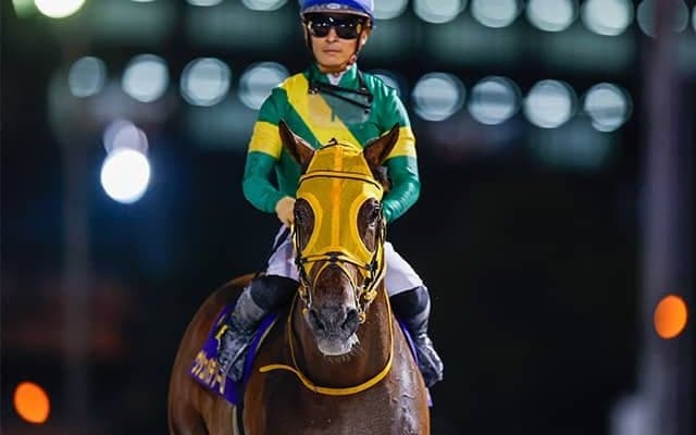 ウシュバテソーロは川田騎手を背に追い切り「動きも問題なく順調にきています」米BC出走予定の各陣営がコメント