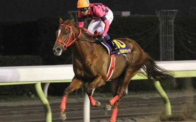 3連単の払戻金額は250円！ 歴史的名馬による“2強対決”/11年・JBCクラシックプレイバック