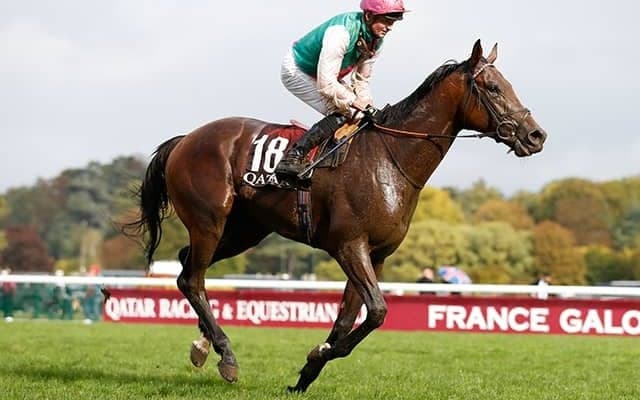 愛ダービー馬ウエストオーバーが優駿SSへ 凱旋門賞2着がラストラン