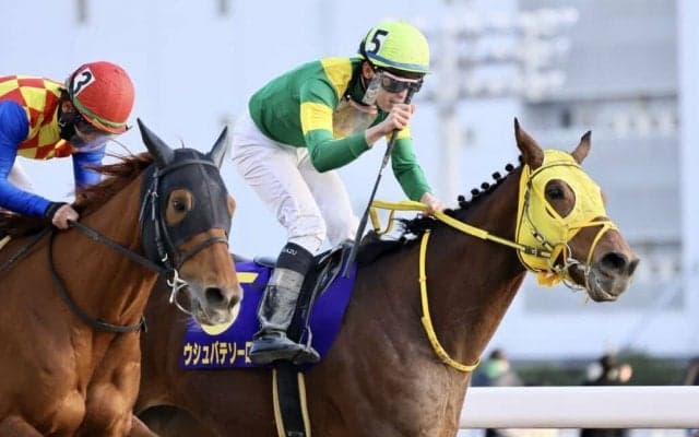 【ブリーダーズカップ】日本馬近況…ウシュバテソーロ高木師「今日も気分よく走っていた」