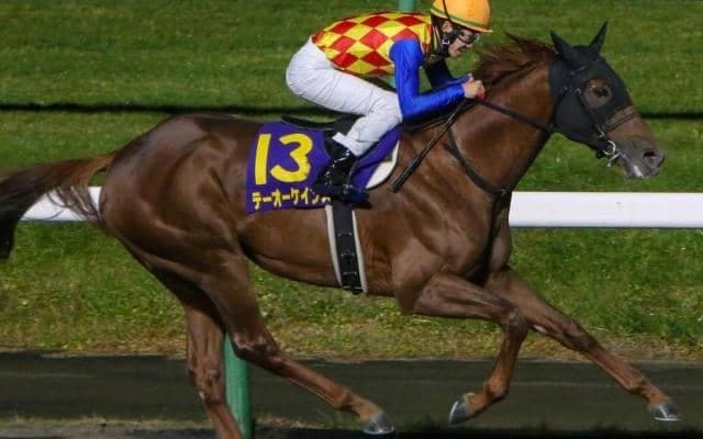 歴史的名馬に続け！ テーオーケインズがJBCクラシック史上6頭目の快挙に挑戦 