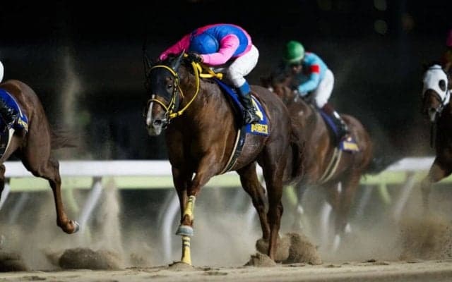 【JBCクラシック】浜中俊騎乗、メイショウハリオは7枠7番へ