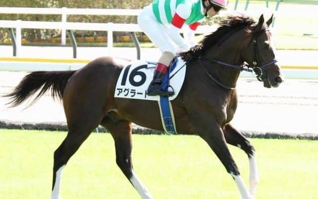 米G1馬の父×ダート重賞馬の母…イメージとは真逆!? 切れ味武器に京王杯2歳Sで重賞初V狙う