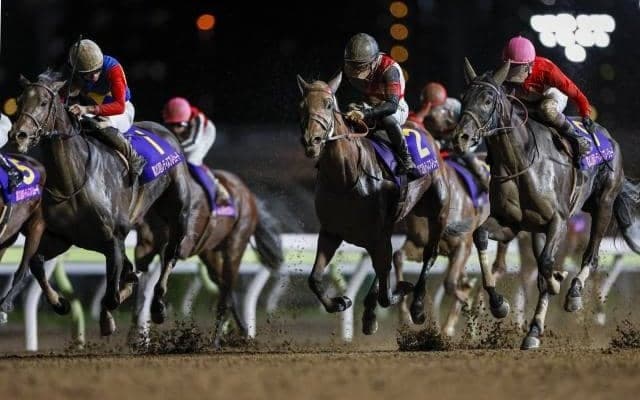 JBCレディスCの主役は4歳馬！ 昨年覇者を筆頭に重賞4勝馬や南関女王ら強力メンバー