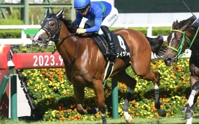 【ファンタジーS枠順確定】クイックバイオは3枠5番、キャプテンネキは7枠13番