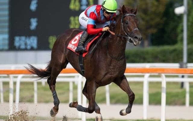 【JBCスプリント注目馬】15頭中13頭が重賞ウイナー 豪華メンバー集った短距離王決定戦