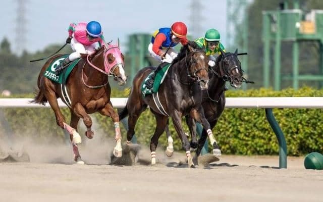 【JBCレディスC】ライオットガールは岩田望来騎手から森泰斗騎手に変更 今年のレパードS覇者