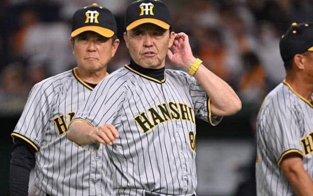 甲子園無料PV券が完売直後に4万円超え！ “高額転売問題”に怒りの声「タダなのにひどすぎる」【日本シリーズ】