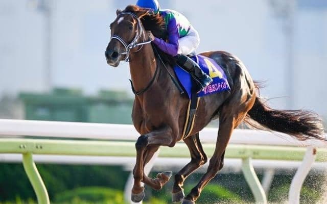 【大井・JBCレディスクラシック結果】アイコンテーラーが4馬身差VでJpnI初制覇！