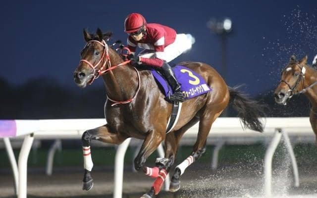 【門別・JBC2歳優駿結果】フォーエバーヤングが人気に応え無傷の2連勝