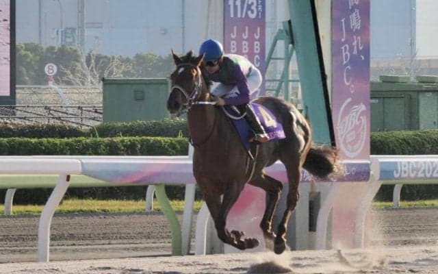 【JBCレディスクラシック】アイコンテーラーが4馬身差圧勝…G1初制覇