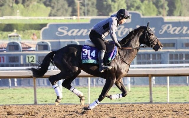 【ブリーダーズカップ】日本馬の近況…シャフリヤール 藤原英師「前進気勢もあり良い状態」