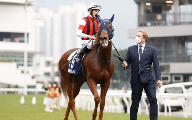 ウインマリリンはダートコースで調整 手塚調教師「あとはレースまで順調に」米BC出走予定の各陣営がコメント