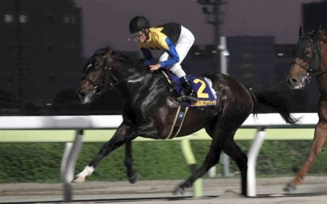 【JBCクラシック】森泰斗「差し返すところ見せてくれた」ノットゥルノは2着