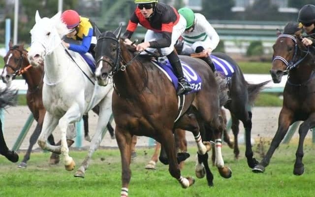 【マイルCS想定馬・騎手】セリフォス、ナミュールなど15頭