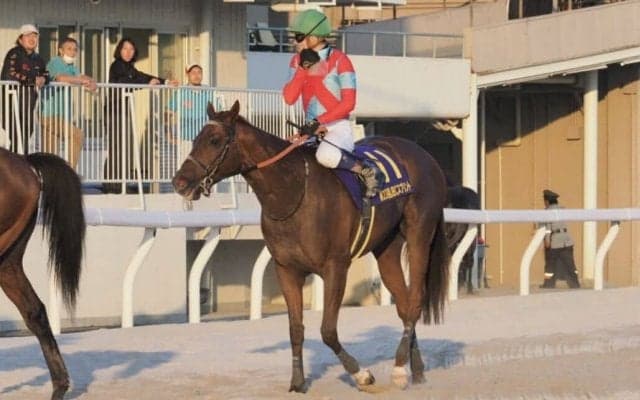 【JBCスプリント】御神本「脚を伸ばし切れなかった」…レース後ジョッキーコメント