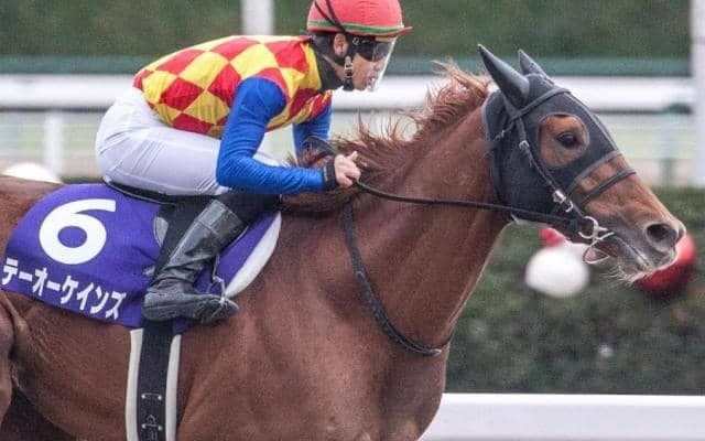 父と兄でGI級14勝 砂の超良血が土曜東京4Rで初陣