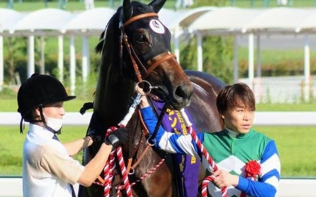メイケイエールのダート初挑戦など ブリーダーズCは日本で発売ないレースも見どころ満載