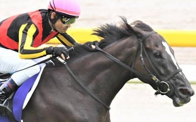 日本最強マイラーが世界制圧へ BCマイルでGI・4勝目なるか