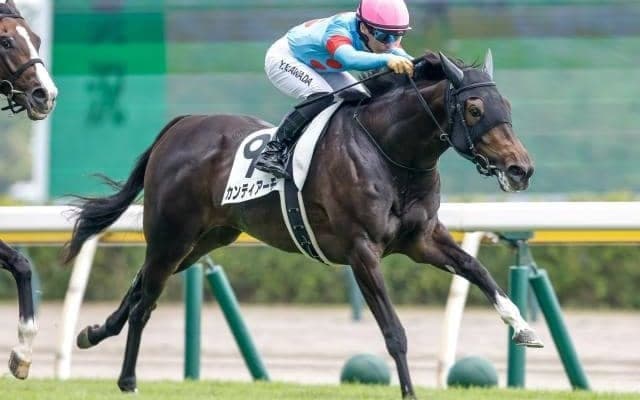【デイリー杯2歳S想定馬・騎手】カンティアーモ、ダノンキラウェアなど11頭
