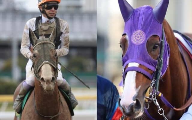 インティとケイティブレイブの弟が新馬で激突！ 兄の対戦成績は？