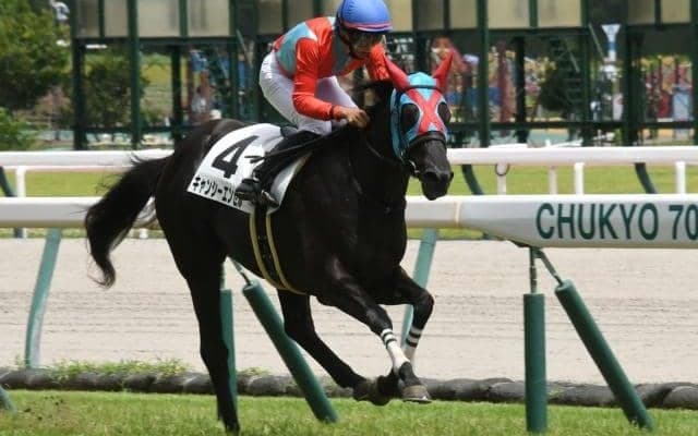 【ファンタジーS予想】若き乙女が覇を競う阪神JFへの前哨戦