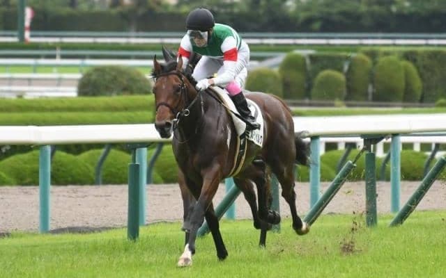 【京王杯2歳S予想】朝日杯FSにつながる若駒たちの戦い