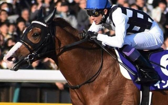 兄は7連勝でGI制覇の天才肌 アウトドライブがデビュー勝ちなるか