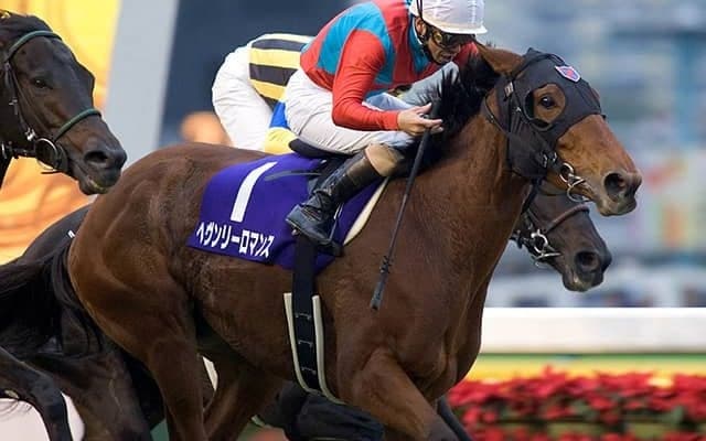 きょうだいに活躍馬ズラリ 母ヘヴンリーロマンスの良血牝馬がデビュー