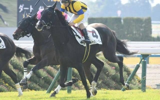 【京都5R新馬戦結果】キタサンブラック産駒のキーパフォーマーが差し切りV！