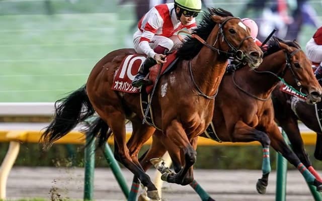 【豪・ゴールデンイーグル結果】日本のオオバンブルマイが優勝！ 1着賞金約5億円のビッグレース制す